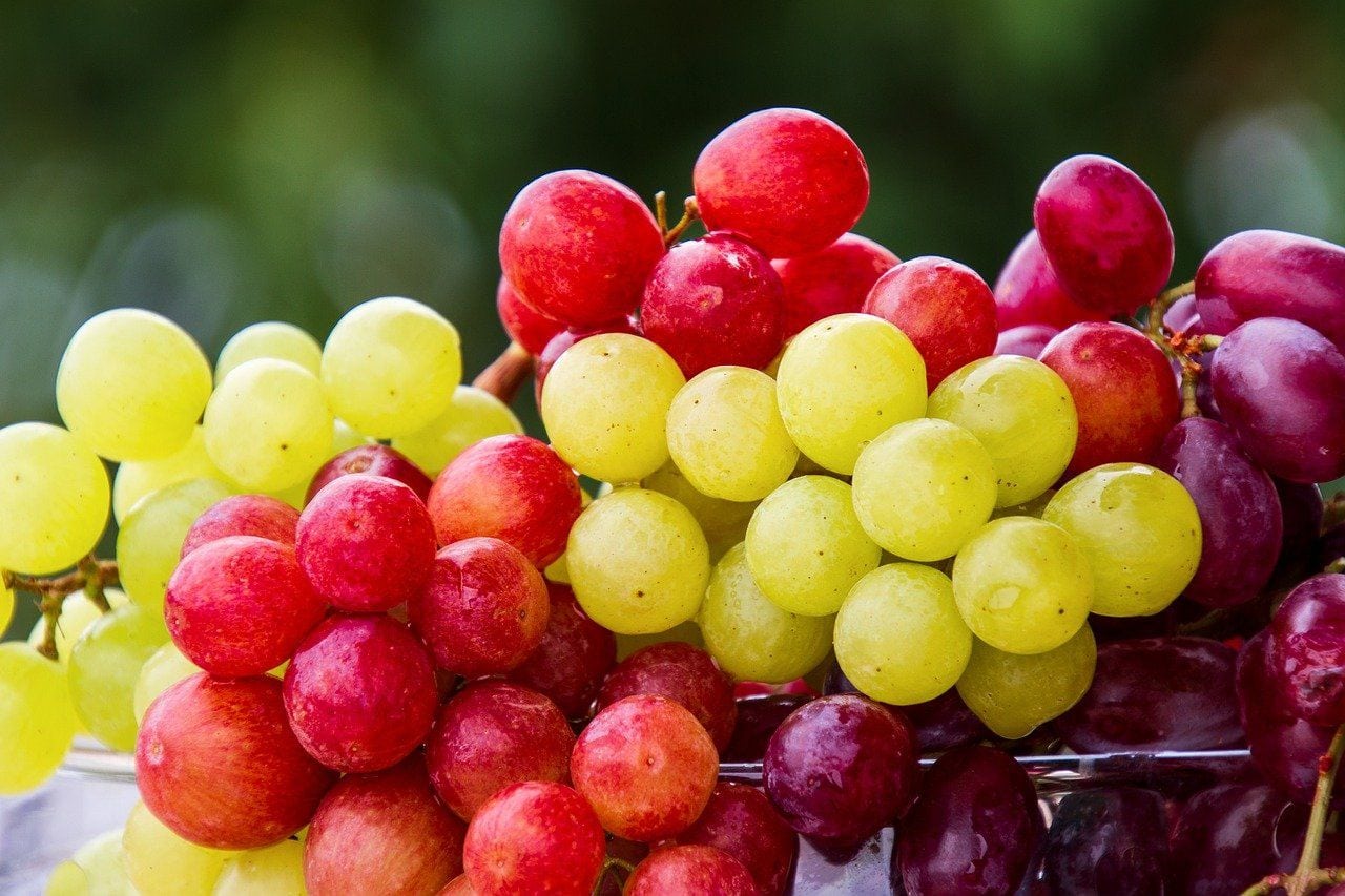 cluster of grapes