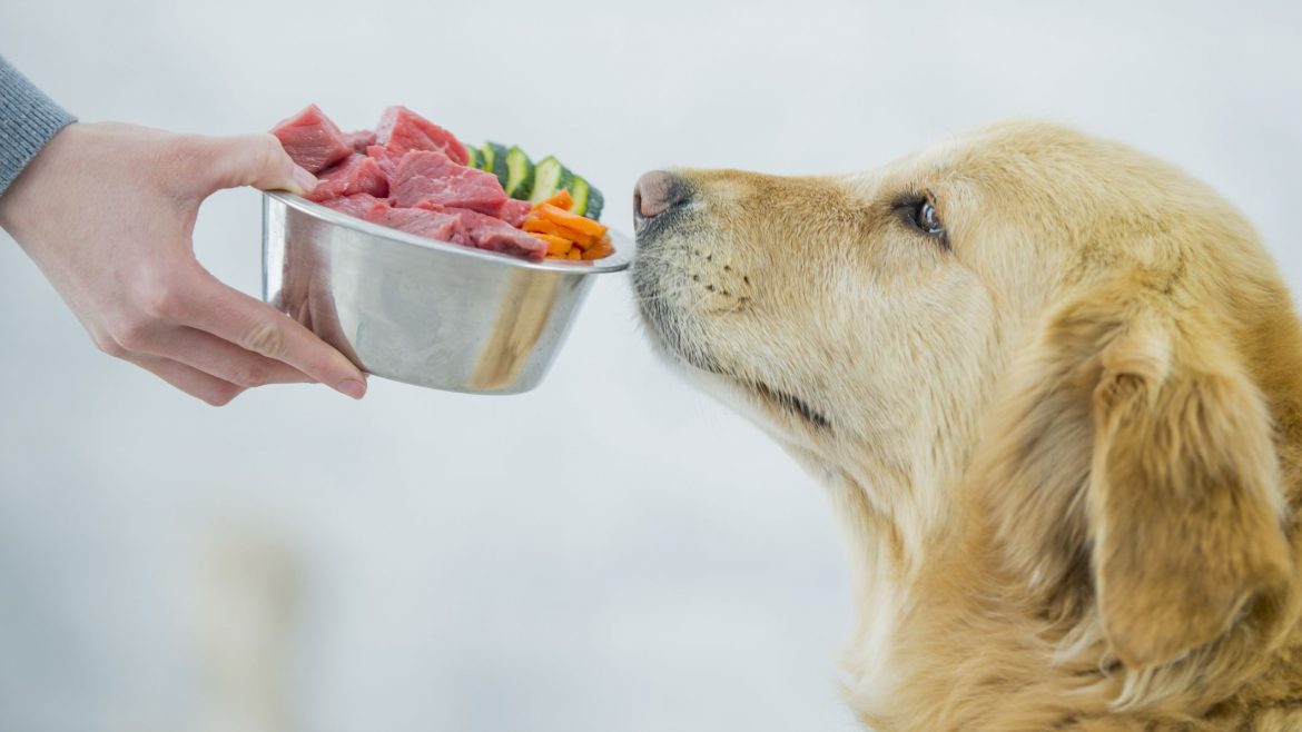 The best source of iron for dogs
