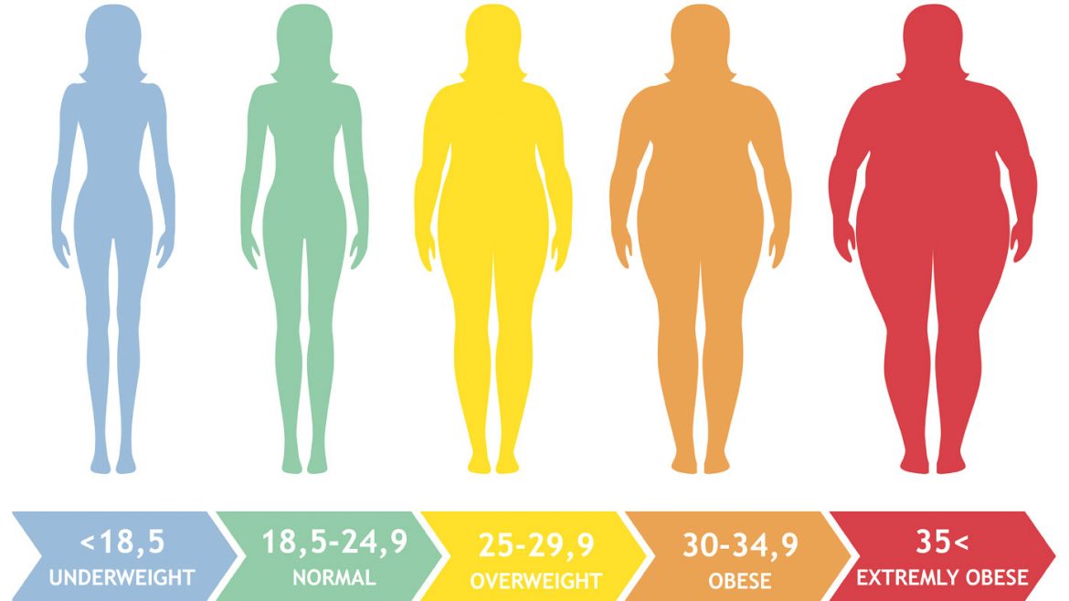 What Is BMI BMI